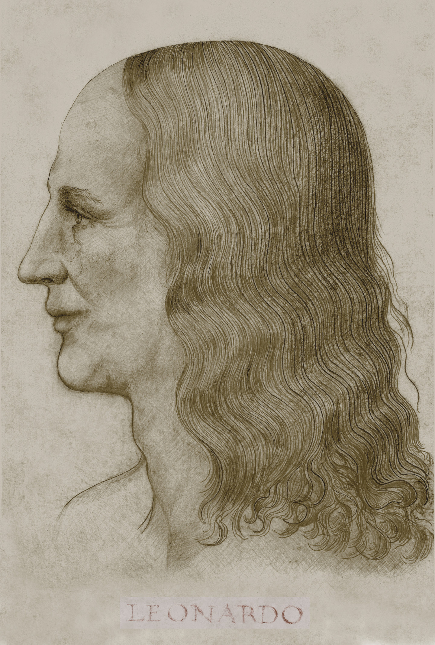 Michael Schwahn - 5-leonardo-face-reconstruction-inscription-brown.jpg