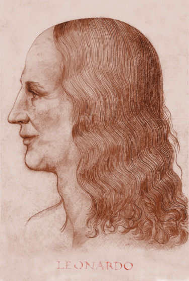 2-leonardo-face-reconstruction-inscription.jpg